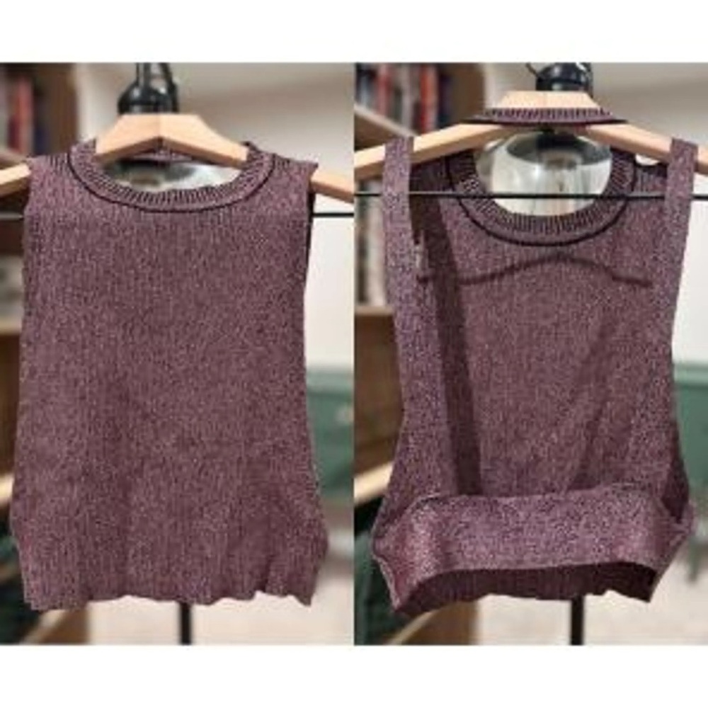 Zara Burgundy metallic Knit  cropTop